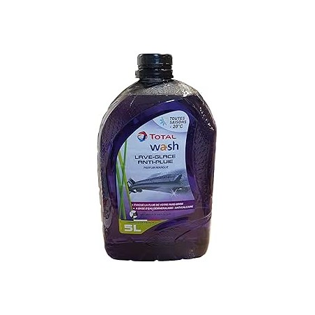 Lave Glace Anti Pluie Toute Saisons -20° litres Total