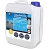 1 x 5 L Antigel pour vitres premium -60°C concentré pour vitres de voiture, polycarbonate compatible avec parfum frais d'agrumes
