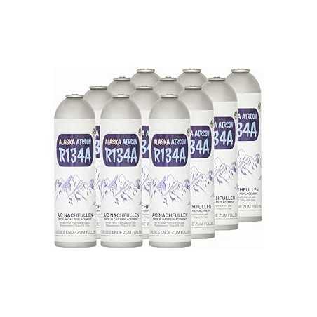 Generisch ALASKA@ R134a Gaz 12 X Flashen Réfrigérant de remplacement pour climatisation pour entreprises et professionnels